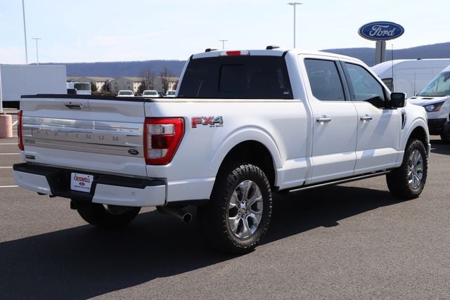 2021 Ford F-150 Platinum