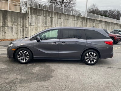 2024 Honda Odyssey EX-L