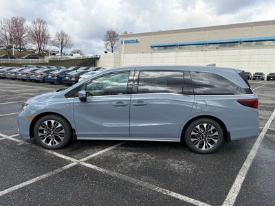 2026 Honda Odyssey Elite