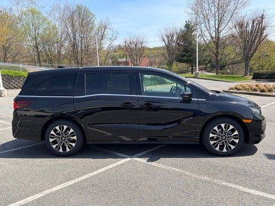 2026 Honda Odyssey Elite