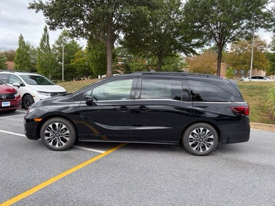 2026 Honda Odyssey Elite