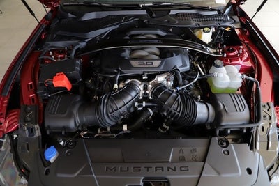 2025 Ford Mustang Dark Horse