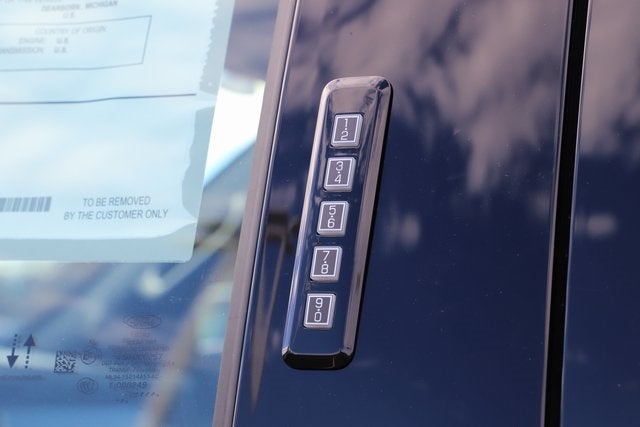 2025 Ford F-150 Lightning Platinum