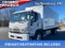 2025 Isuzu FTR MT5G4 212" Wheelbase